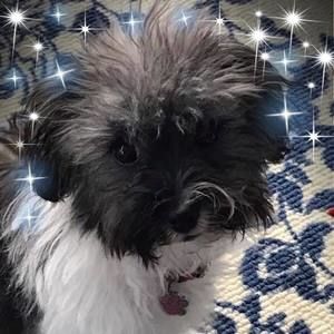 Meet your Posher, Cathy